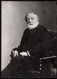 Etienne Charles Henrin muotokuva, Bornierin varakreivi (1825-1901), ranskalainen runoilija ja näytelmäkirjailija. tekijältä French Photographer