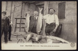 Postikortti, joka kuvaa hyvää lohisaalista Brioudessa, Haute-Loiressa, n. 1900 tekijältä French Photographer