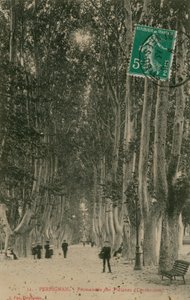 Promenade des Platanes Perpignanissa. Postikortti lähetetty 1913. tekijältä French Photographer