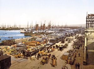 Quai de la Joliette, Marseille, Ranska, pubi. 1890-1900 tekijältä French Photographer