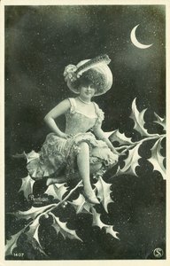 Nainen istuu hollyn oksalla (m/w kuva) tekijältä French Photographer