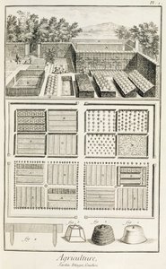 Vihannespuutarha, Denis Diderot