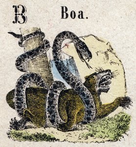 Abecedary. B-kirjain kuin Boa. Pieni tietosanakirja aakkoset, suosittu sarja. Epinaalinen kuvantaminen, 1800-luvun loppu tekijältä French School