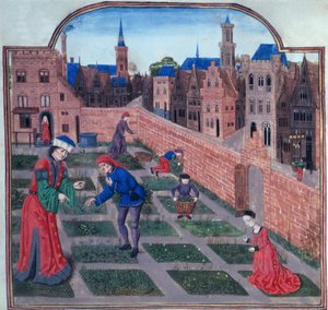 Lisää 19720 fol.165 Aidattu yrttitarha kaupungissa, Piero de Crescenzi Bolognasta (1230-1320/1) Livre des profits ruraux