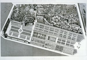 Ilmakuva Jardin des Plantesin suunnitelmasta Pariisissa, 1842 tekijältä French School
