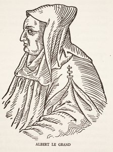 Albert Suuri tekijältä French School