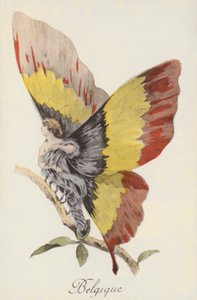 Allegorinen kuvaus Belgiasta perhosena (värilitografia). tekijältä French School