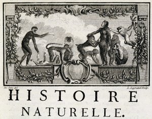 Luonnonhistorian allegooria apinoista - Buffonin "" Luonnonhistoriassa, yleisessä ja erityisessä historiassa"". tekijältä French School