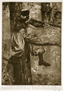 Algerialainen ampuja töissä metsän suojissa, 1914-19 tekijältä French School