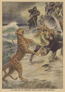 Paennut jaguaari vapaana laivalla (väri litho) tekijältä French School