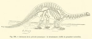 Jurassic-kauden eläimet, Brontosaurus (kaiverrus) tekijältä French School
