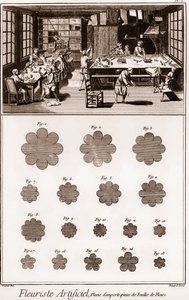 Keinotekoinen kukkakauppias: Denis Diderot