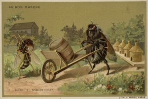 Huonekalut ja erilaiset esineet 1100- ja 1300-luvuilta tekijältä French School