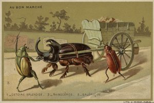 Huonekalut ja erilaiset esineet 1100- ja 1300-luvuilta tekijältä French School