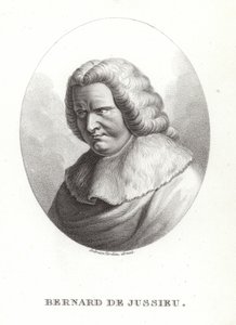 Bernard Jussieulainen tekijältä French School