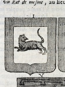 Italian jalkaväkirykmentin Blazon teoksessa "" La Vraye and Perfect Science of Arms or the Armorial Index", kirjoittanut Pierre Palliot tekijältä French School