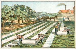 Valkaisu (chromolitho) tekijältä French School