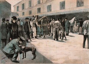 Kamelin hoito Ecole Nationale Veterinaire d