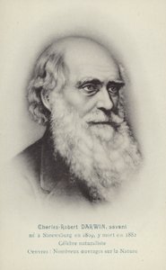 Charles Darwin (1809-1882), englantilainen luonnontieteilijä (litografia) tekijältä French School