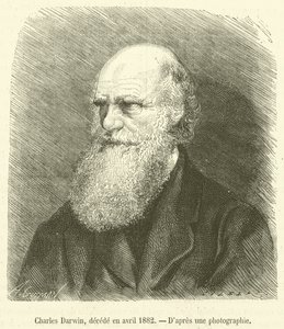 Charles Darwin, decede en avril 1882 (kaiverrus) tekijältä French School