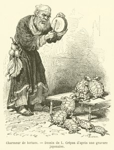 Turtle Charmer (kaiverrus) tekijältä French School