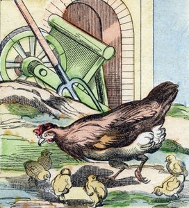 Kanaa ja poikasia. Kaiverrus "Buffon Alphabet des Oiseaux n 2". 3. Serie N 2. Epinalin kuvantaminen, Epinal, 1800-luvun loppu. 16 sivua. Mitat: 28 x 21 cm tekijältä French School