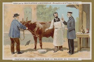 Chocolat dAiguebelle -kauppakortti tekijältä French School
