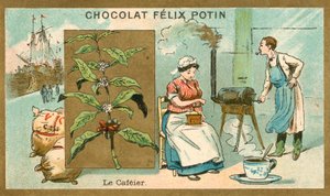 Kahvi (chromolitho) tekijältä French School