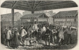 Valmistaa teurastamon lihaa rue des Prouvairesin torilla Pariisin 1. kaupunginosassa – Edmond Texierin 1852 kaiverrus Tableau-de-Parisissa tekijältä French School