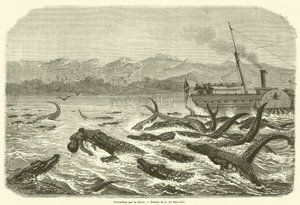 Crocodiles on the Chire (kaiverrus) tekijältä French School
