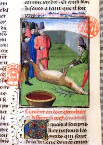 Gaston Phebus de Foixin (1331-91) Livre de la Chassesta peräisin olevan kuolleen poltan jalkojen leikkaaminen tekijältä French School