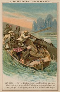 Virhehevon kimppuun hyökkäsi David Livingstonesin vene Orange Riverillä, Afrikassa, 1867-1873 tekijältä French School