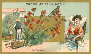 Digitalisoitu (kromoliitti) tekijältä French School