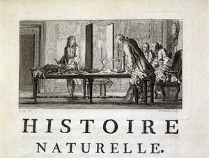 Eläinten dissektio - Buffonin "" Luonnon-, yleis- ja erityishistoriassa"" tekijältä French School