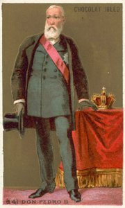 Don Pedro II, Brasilian keisari tekijältä French School