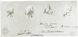 Piirustus Notre Damen gargoylien entisöintiä varten, 1855 tekijältä French School