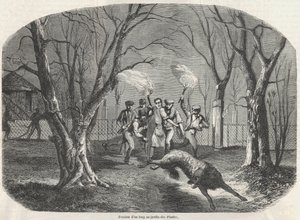 Suden väistäminen Jardin des Plantesissa Pariisissa – Edmond Texierin kaiverrus Tableau-de-Pariisiin 1852 tekijältä French School