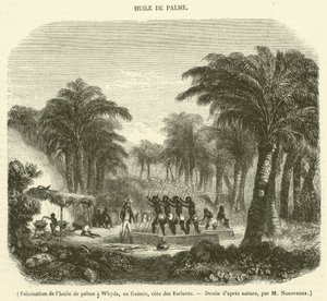 Palmuöljyn valmistus Whydassa, Guineassa, Slave Coastissa (kaiverrus) tekijältä French School