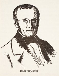 Felix Dujardin tekijältä French School