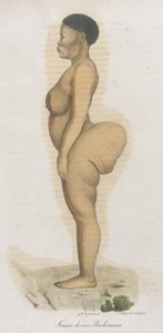 "Femme de race Bochismann". Tämä levy on ilmeisesti kuva Sara (Saartjie) Baartmanista (1789-1815), joka oli Etelä-Afrikasta tuotu Khoisan, joka oli tuotu julkiseen näytteille Piccadillyyn nimellä "Hottentot Venus", koska se oli tekijältä French School