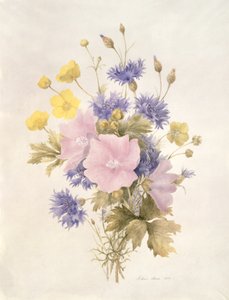 Field Flowers, 1842 (wc paperilla) tekijältä French School