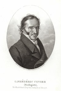 George Cuvier tekijältä French School