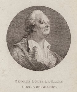 Georges-Louis Leclerc, Comte de Buffon, ranskalainen luonnontieteilijä (kaiverrus) tekijältä French School