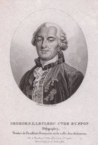Georges-Louis Leclerc, Comte de Buffon, ranskalainen tiedemies ja kirjailija (kaiverrus) tekijältä French School