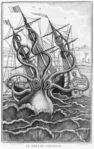Giant Octopus, kuva Denys-Montfortin nilviäisten yleisestä ja erityisestä luonnonhistoriasta, c. 1802-03 tekijältä French School
