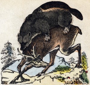 Ahmatti. Kaiverrus "" Alphabet des animaux sauvages"". 9. sarja. Kuvia Epinalista, Pellerin, paino-kustantaja, noin 1870. Kaiverrukset puuhun, stenciloitu. 16 sivua. Mitat: 20 x 15 cm. Yksityinen kokoelma tekijältä French School