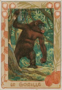 Gorilla tekijältä French School