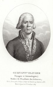 Guillaume Antoine Olivier tekijältä French School