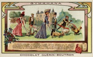 Gymciana (kromoliitti) tekijältä French School