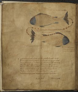 Harley 647, f.3v Kuva Kalojen tähdistöstä, Marcus Tullius Ciceron teoksesta Aratus, n. 1820-40 (vellum) tekijältä French School